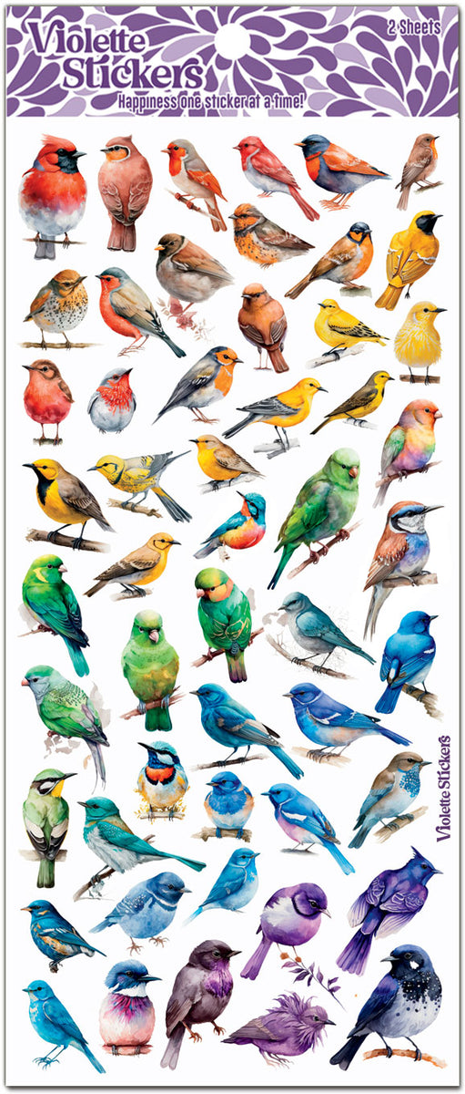 Bird Decals - Watercolor Rainbow Pattern - Set of 8 Bird Stickers