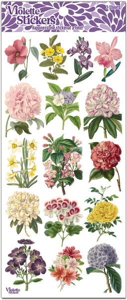 C244 Encyclopedia Florals