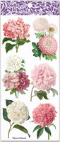 C231 Pink Peony Party