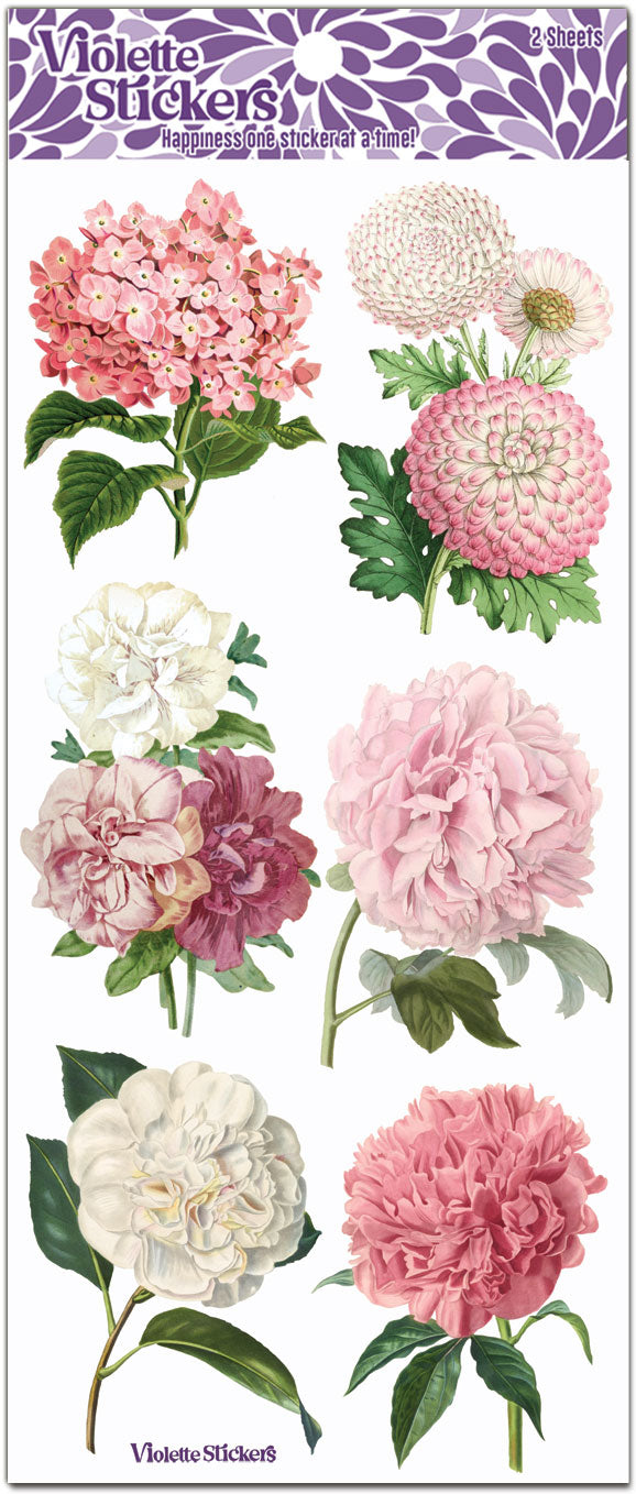 C231 Pink Peony Party – Violette Stickers