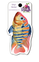 VY108 Tropical Fish Vinyl Sticker