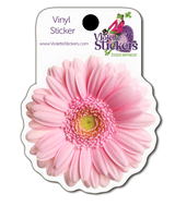 VY119 Pink Daisy Vinyl Stickers