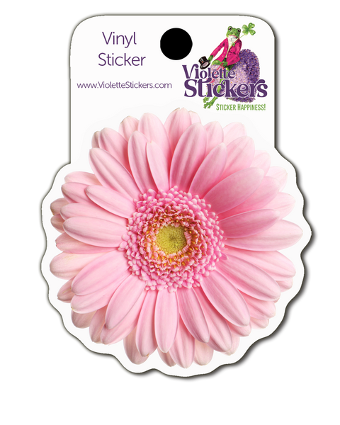 VY119 Pink Daisy Vinyl Stickers