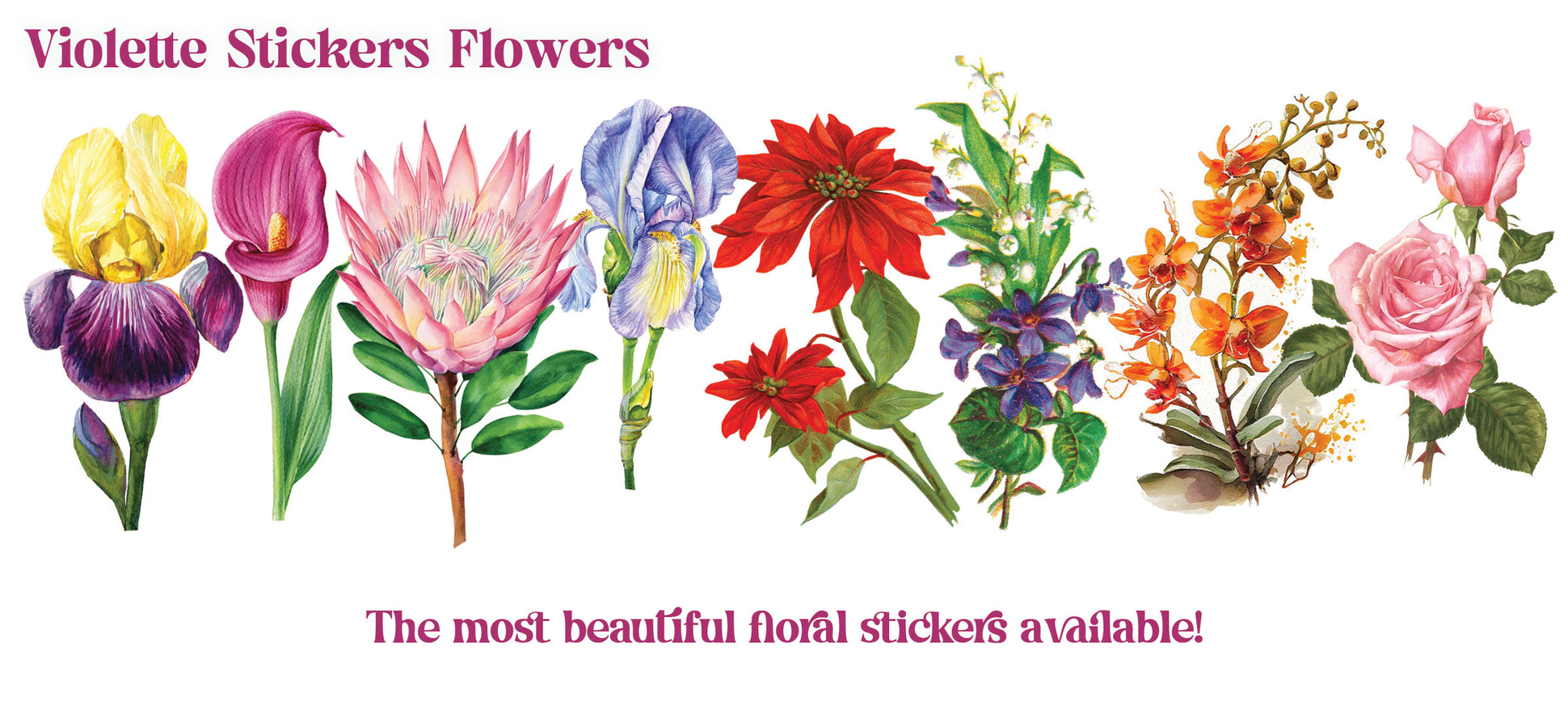 Welcome to Violette Stickers Store - The best place to buy stickers!