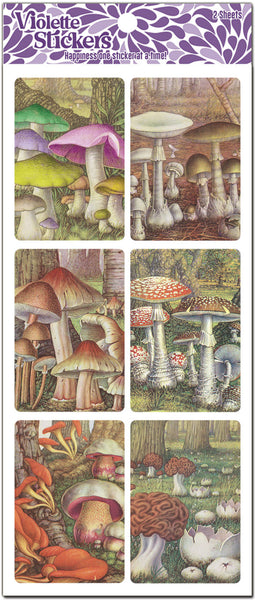 C220 Mushroom Forest