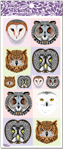 P90 Owl Portraits