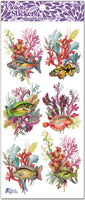 C105 Rainbow Reef Fish
