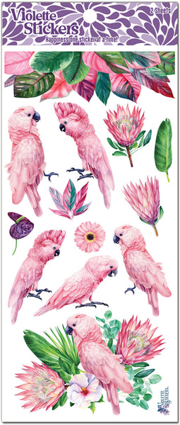 C114 Pink Parrots
