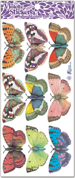 C13 Butterflies