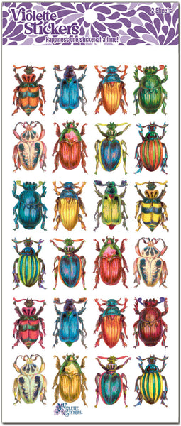 C49 Beetles