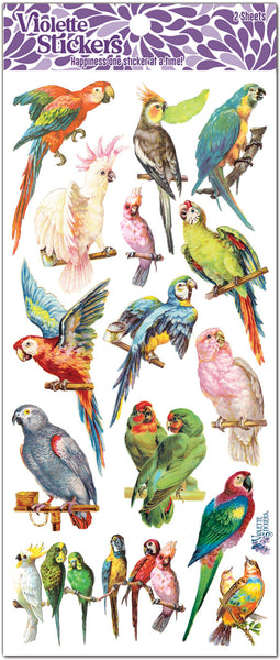 C71 Parrots