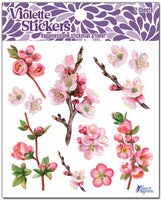 K148 Cherry Blossom