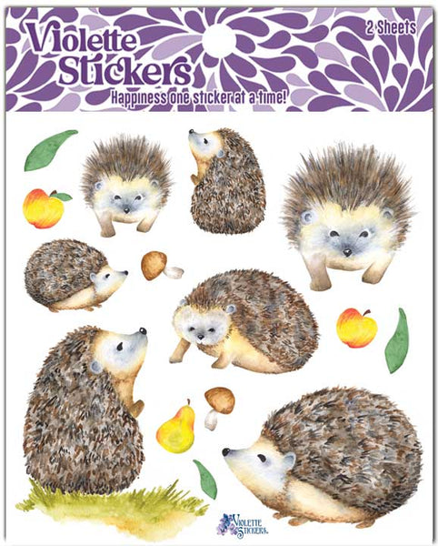 K54 Hedgehogs