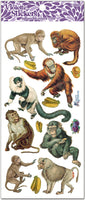 P61 Apes & Monkeys