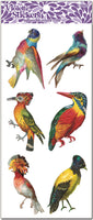 Y183 James - WIld Colorful Birds