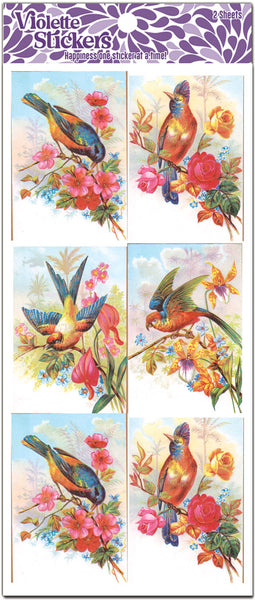 Y219 Luna - Beautiful Birds and Flowers