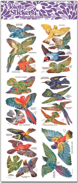 Y250 Kanealai - Vintage Parrot Illustrations